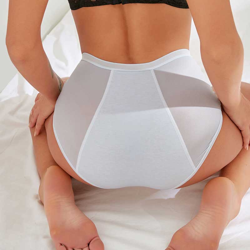 NEW: Leakproof High Waisted 10-Pack (Heavy Absorbency Version) - Image 2